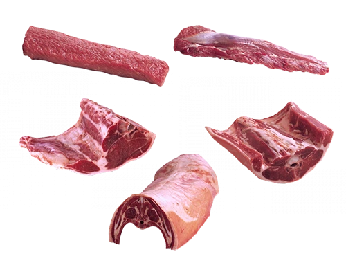 Loin